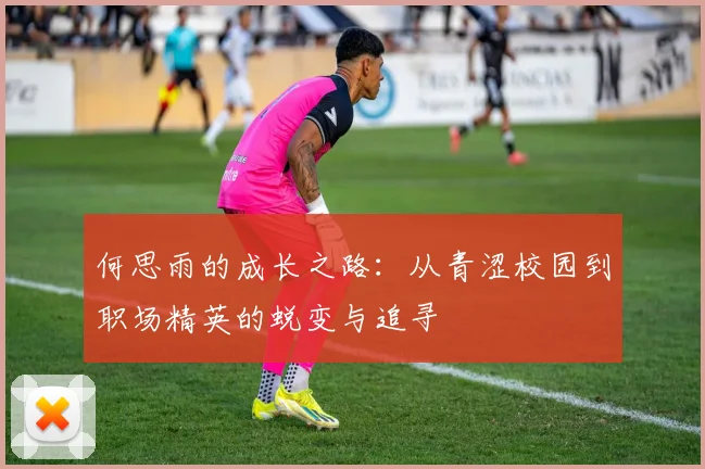 何思雨的成长之路：从青涩校园到职场精英的蜕变与追寻