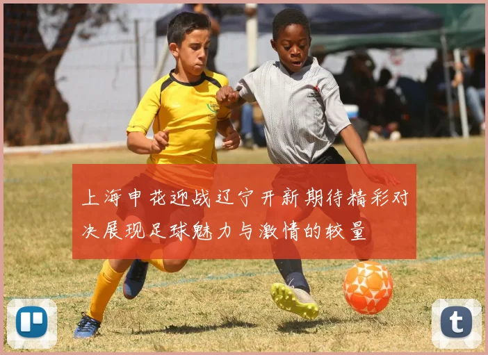 上海申花迎战辽宁开新期待精彩对决展现足球魅力与激情的较量