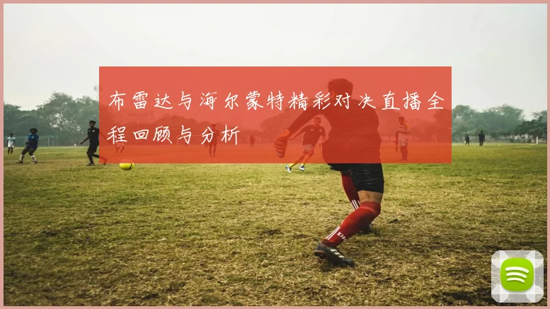 布雷达与海尔蒙特精彩对决直播全程回顾与分析