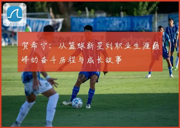 贺希宁：从篮球新星到职业生涯巅峰的奋斗历程与成长故事