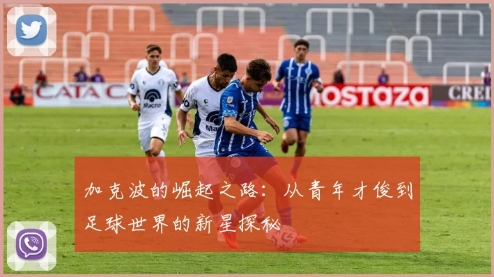 加克波的崛起之路：从青年才俊到足球世界的新星探秘